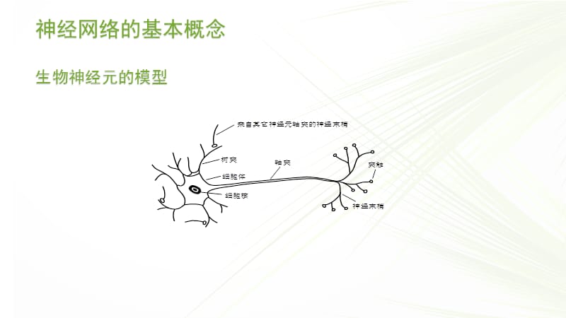 机器学习算法之神经网络.ppt_第3页