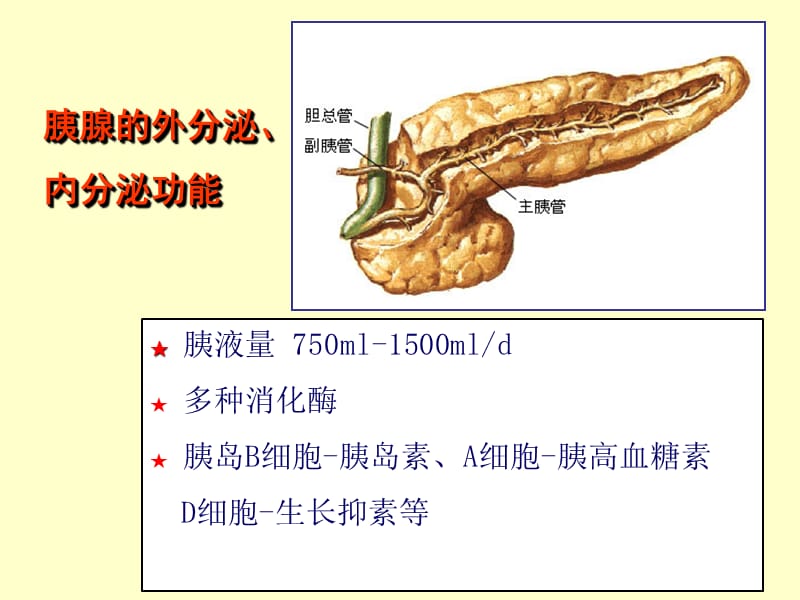 胰腺肿瘤病变的影像学诊断.ppt_第3页