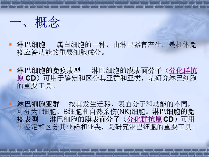 淋巴细胞亚群与临床.ppt_第3页