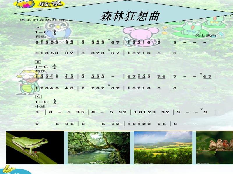 《森林狂想曲》课件.ppt_第3页