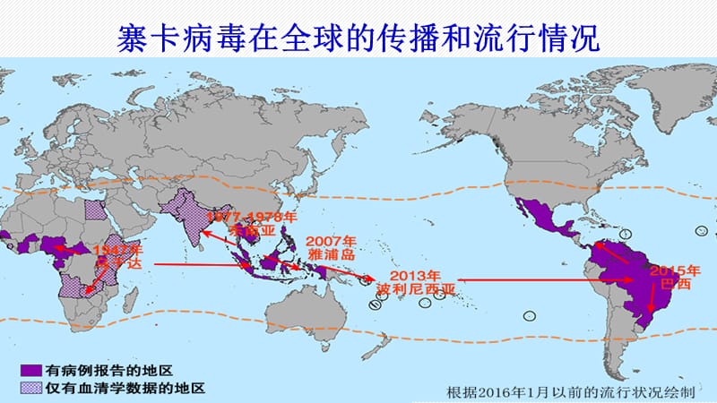 寨卡病毒的基本知识.ppt_第2页