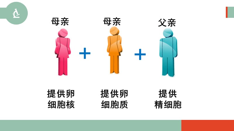 细胞核--系统的控制中心.ppt_第3页