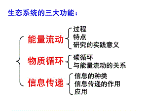 生态系统的三大功能.ppt