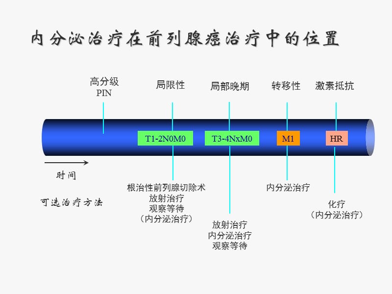 晚期前列腺癌的治疗原则-课内删减版_第2页