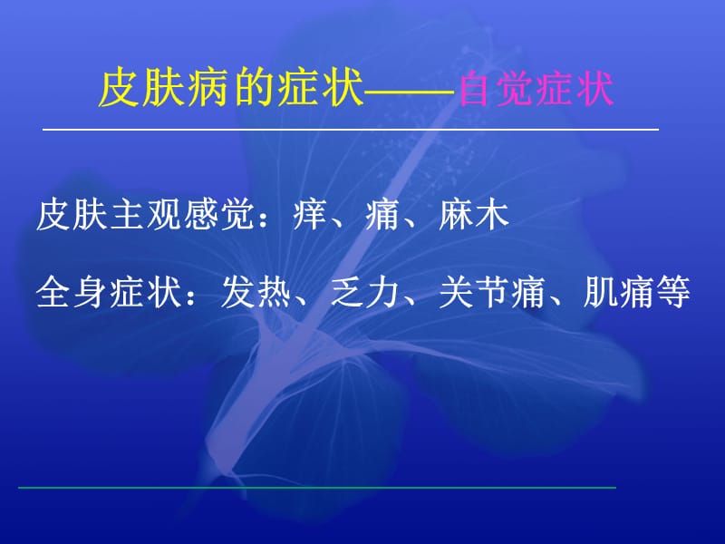 皮肤病的临床表现与诊断(02.25).ppt_第2页