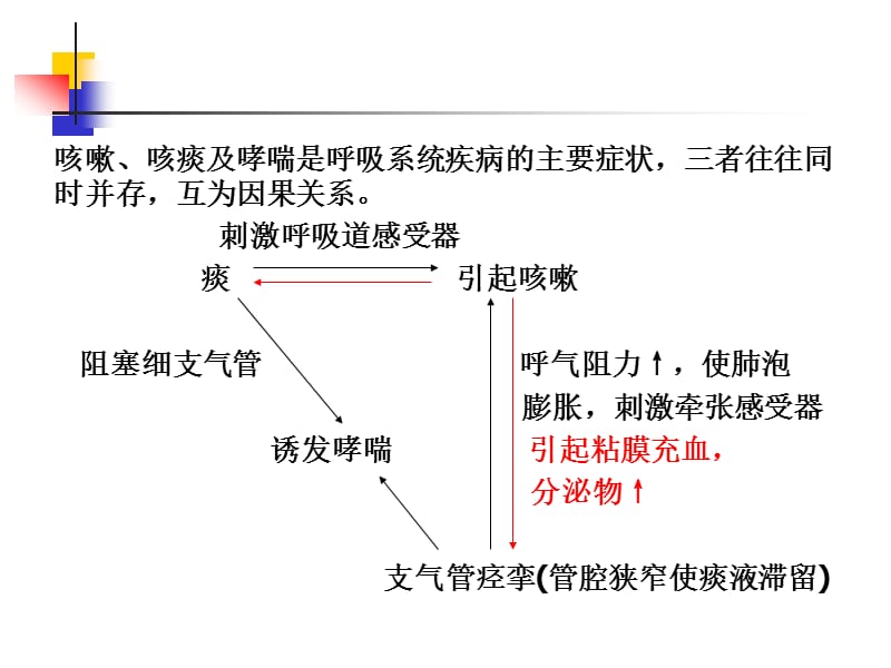 《呼吸系统药物》PPT课件.ppt_第3页