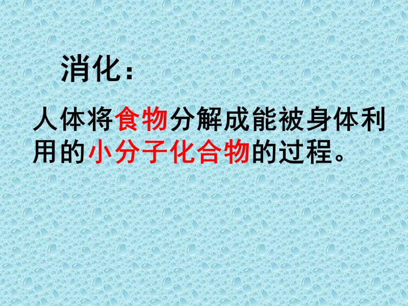 《消化及消化系统》PPT课件.ppt_第2页