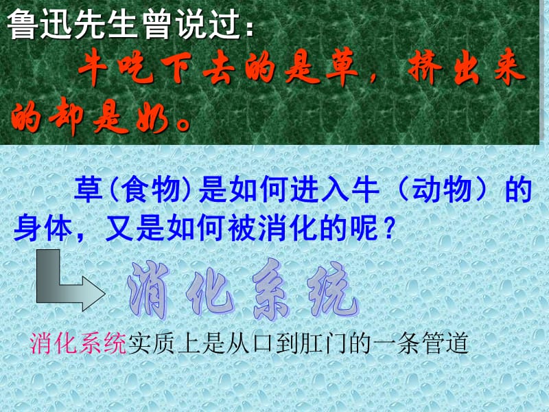 《消化及消化系统》PPT课件.ppt_第3页