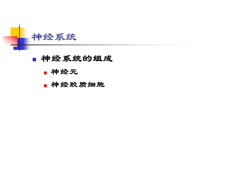 神经系统(应用心理学人体解剖生理学).ppt_第3页