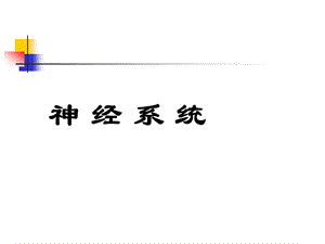 神經(jīng)系統(tǒng)(應(yīng)用心理學(xué)人體解剖生理學(xué)).ppt