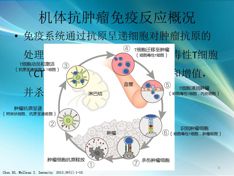 免疫治疗新进展_第3页
