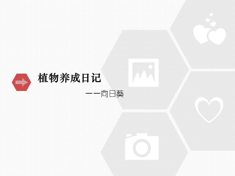 《向日葵养成日记》PPT课件.ppt_第1页