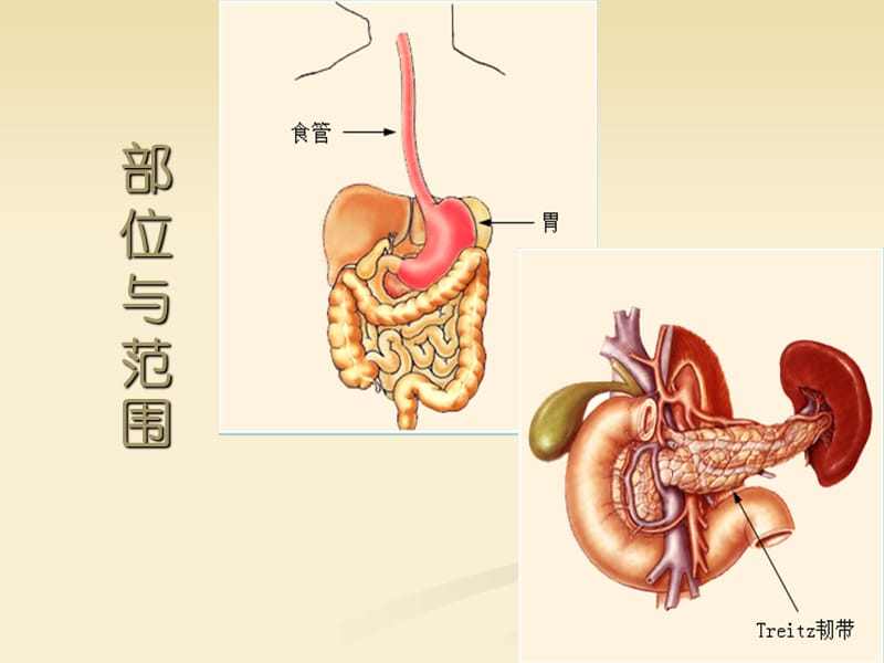 上消化道出血鉴别诊断及处理原则_第3页