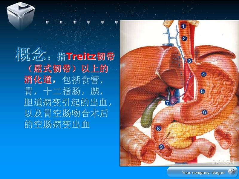 上消化道出血护理查房ppt_第3页