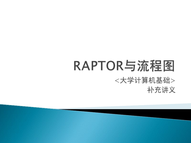 《RAPTOR与流程》PPT课件.ppt_第1页