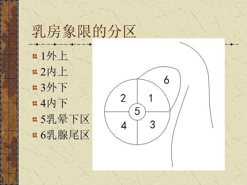 乳腺癌手检_第3页