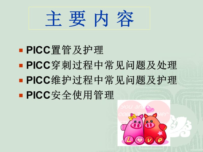 PICC安全使用管理.ppt_第2页