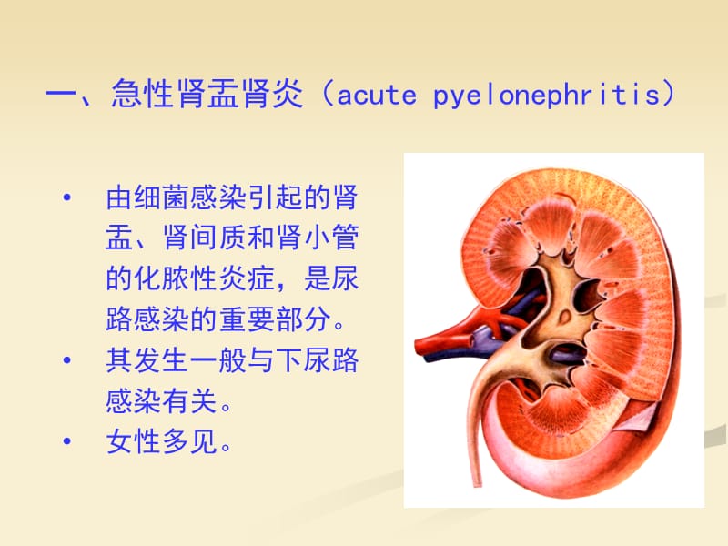 肾盂肾炎.肿瘤_第3页