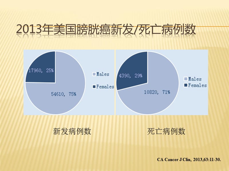 膀胱癌诊疗指南(_第3页