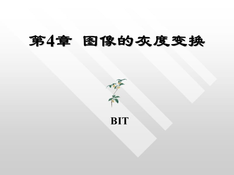 数字图像处理灰度变换.ppt_第1页