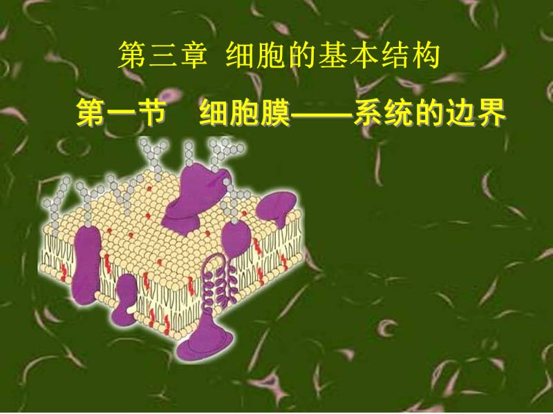 高中生物必修一-细胞膜：系统的边界(.ppt_第1页