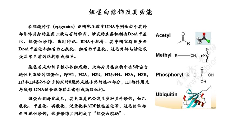 组蛋白修饰及其功能(乙酰化-甲基化-磷酸化等)-于凯.ppt_第1页