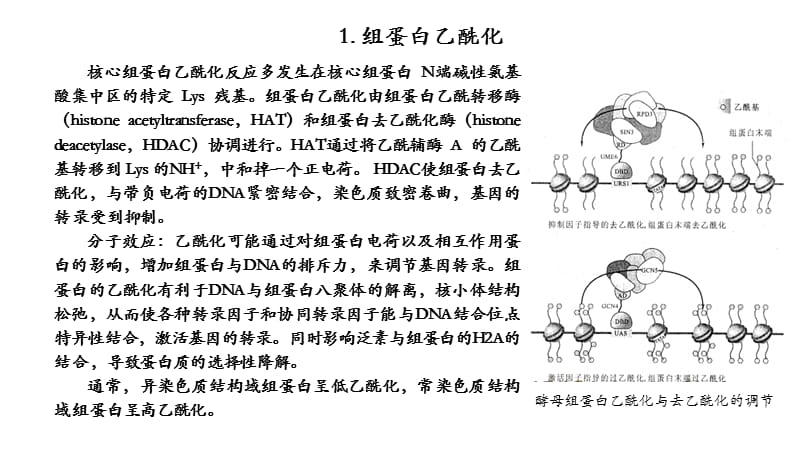 组蛋白修饰及其功能(乙酰化-甲基化-磷酸化等)-于凯.ppt_第2页