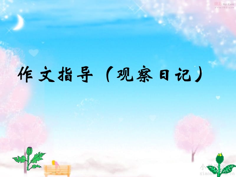 《泡豆芽观察日记》PPT课件.ppt_第1页