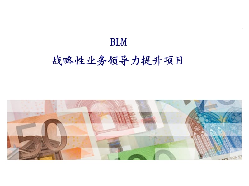 IBM业务领先模型BL.ppt_第1页