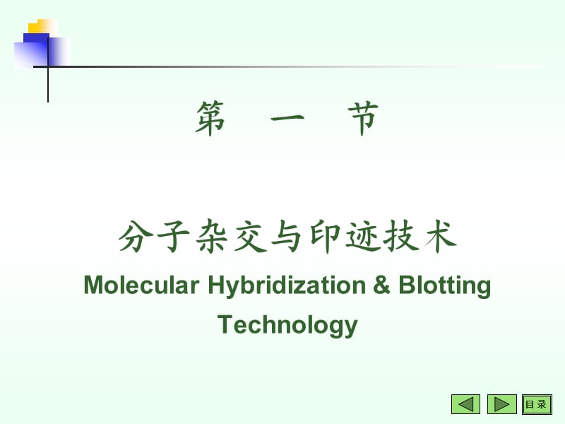 常用分子生物学技术的原理及应用.ppt_第2页