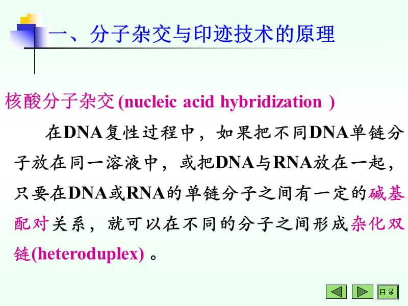 常用分子生物学技术的原理及应用.ppt_第3页