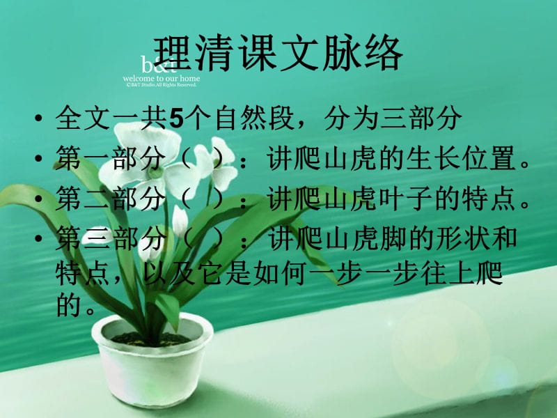 爬山虎的脚有动画.ppt_第3页