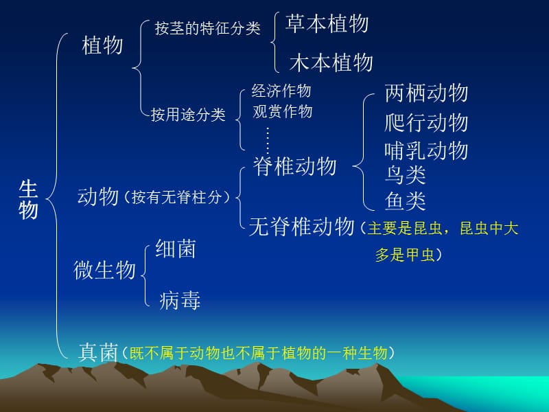 科学丰富多彩的生命世界整理复习.ppt_第1页