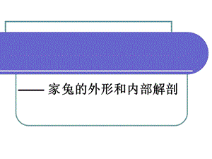 家兔的外形和內(nèi)部解剖.ppt