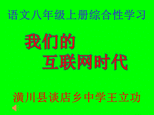 《我們的互聯(lián)網(wǎng)時(shí)代》PPT.pptx