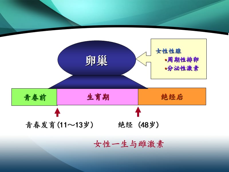 《妇科内分泌疾病》PPT课件.ppt_第3页