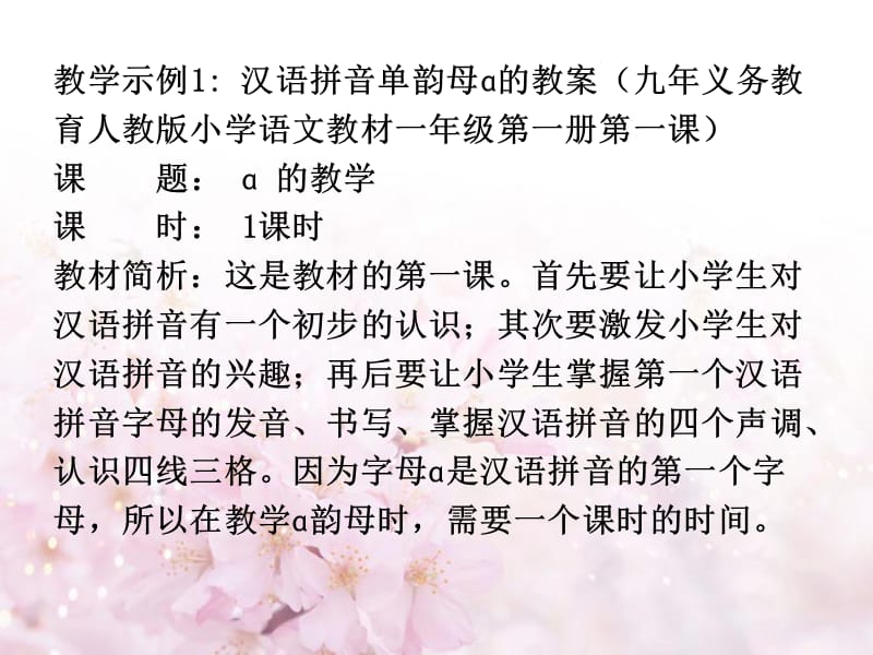 汉语拼音教学示例.ppt_第2页