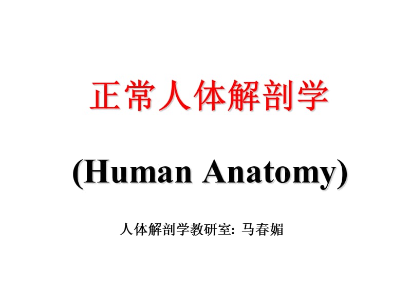 解剖学(运动系统).ppt_第2页