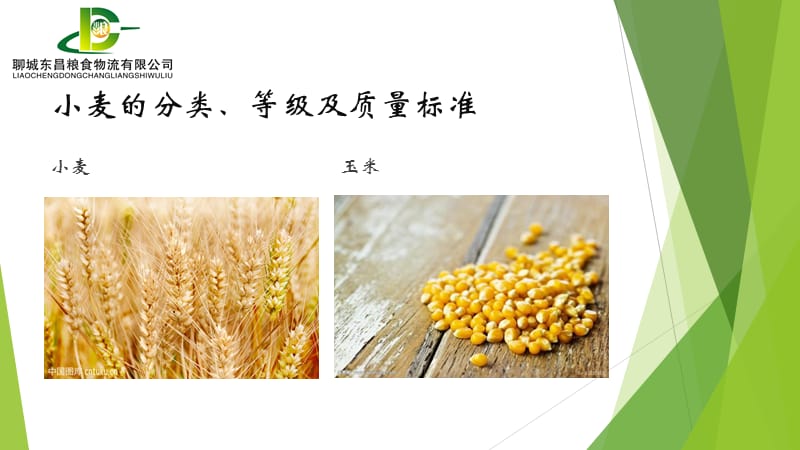 小麦及玉米的质量标准.ppt_第1页