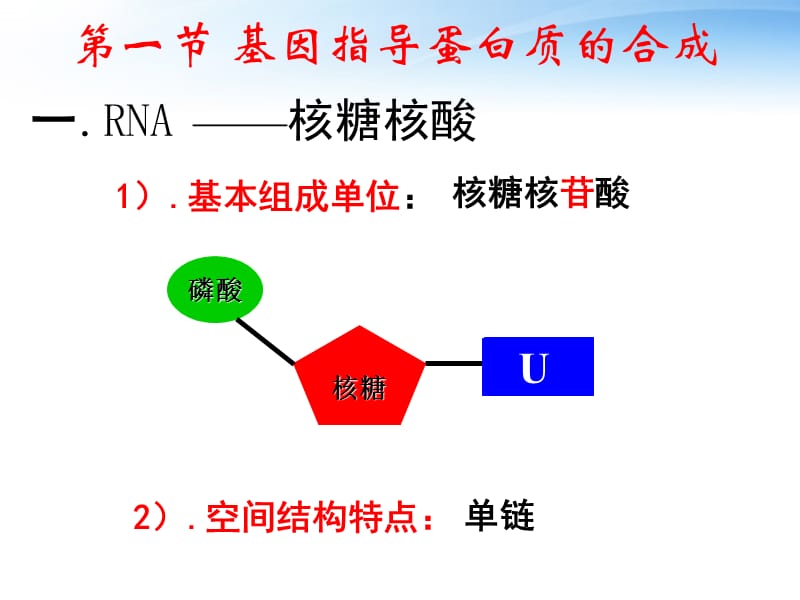 《基因的表达》PPT课件.ppt_第3页