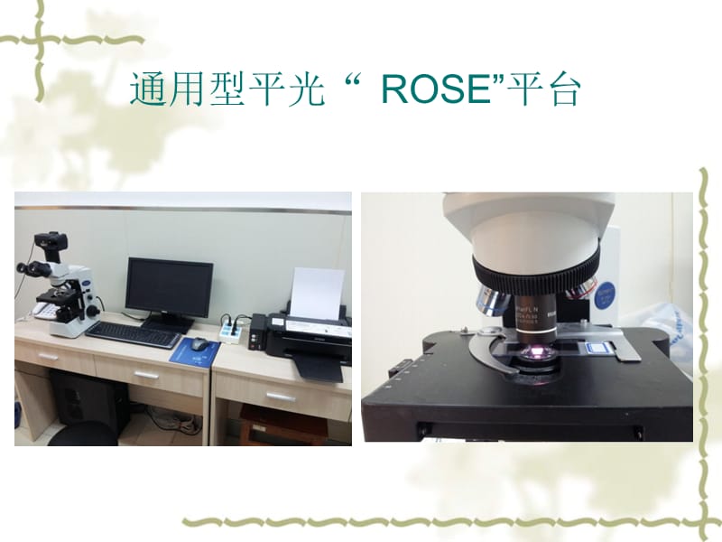 ROSE在肿瘤方面的应用.ppt_第3页