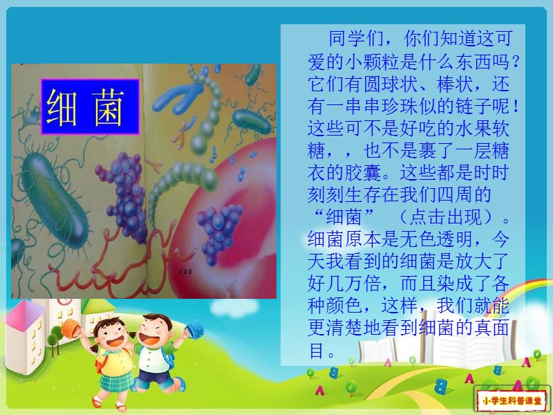 《小学生细菌科普》PPT课件.ppt_第2页