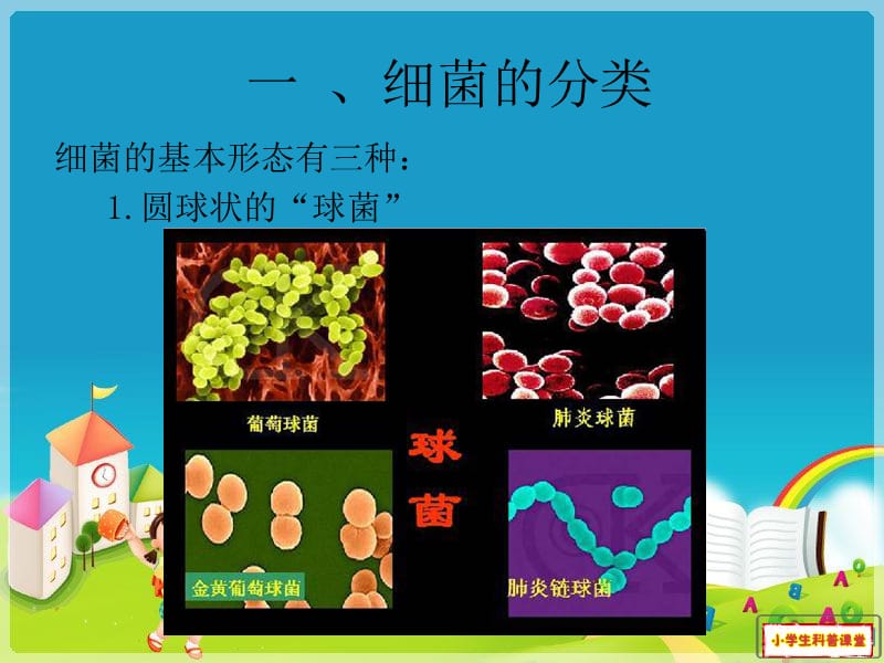 《小学生细菌科普》PPT课件.ppt_第3页