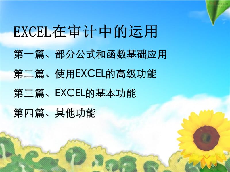 EXCEL在审计中的运用.ppt_第2页