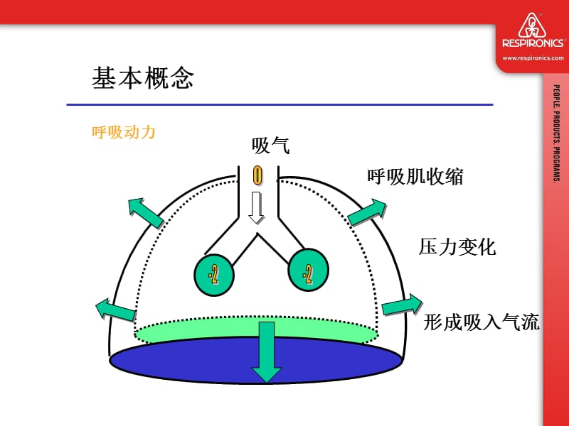 BiPAP呼吸机工作原理.ppt_第2页