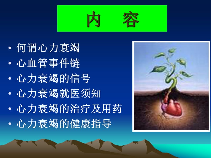 《心衰患者教育》PPT课件.ppt_第3页