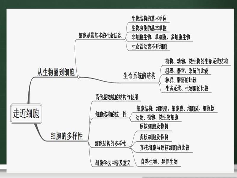 生物必修一复习概念图.ppt_第3页