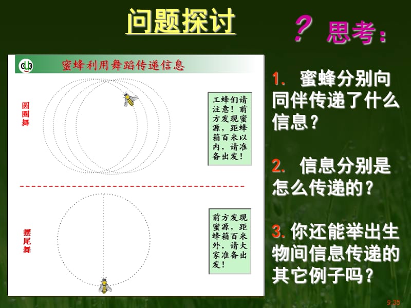 生态系统的功能之信息传递.ppt_第2页