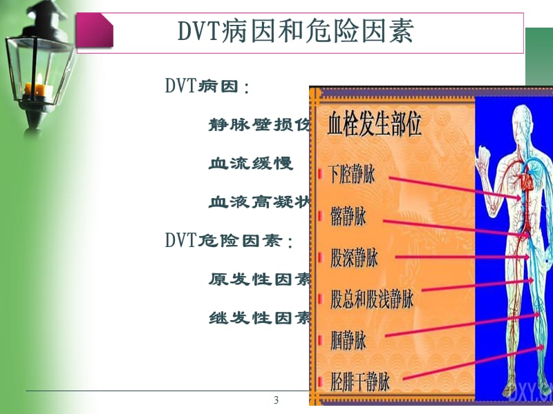 深静脉静脉血栓预防及护理ppt课件_第3页