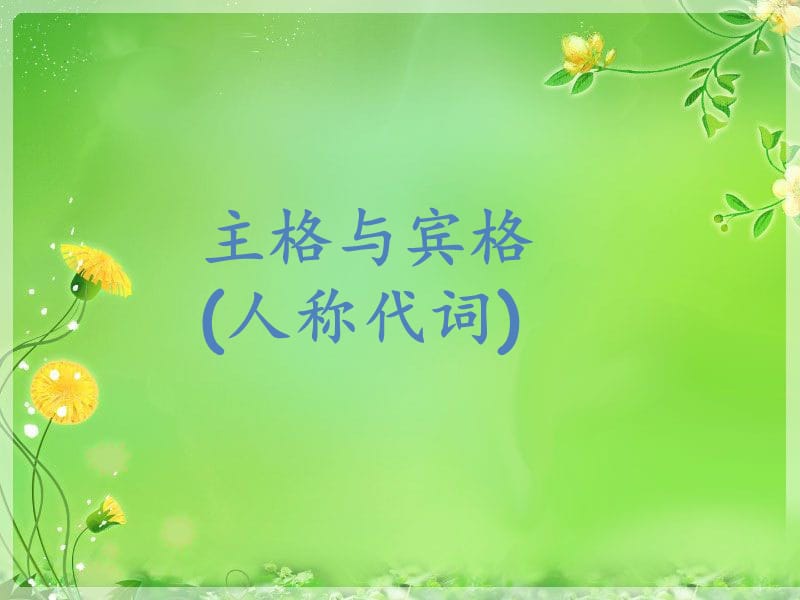 《主格与宾格》PPT课件.ppt_第2页